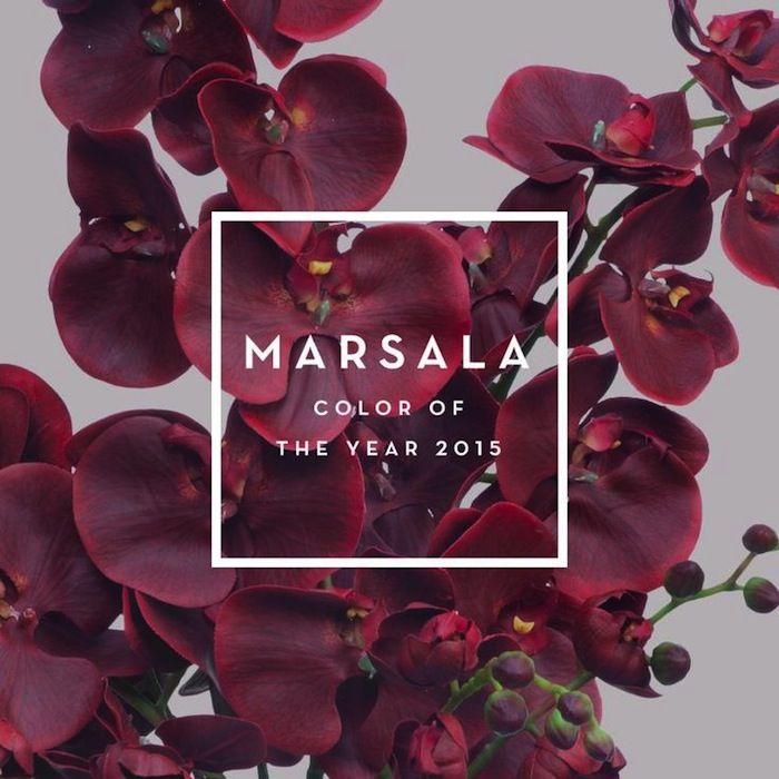 Marsala