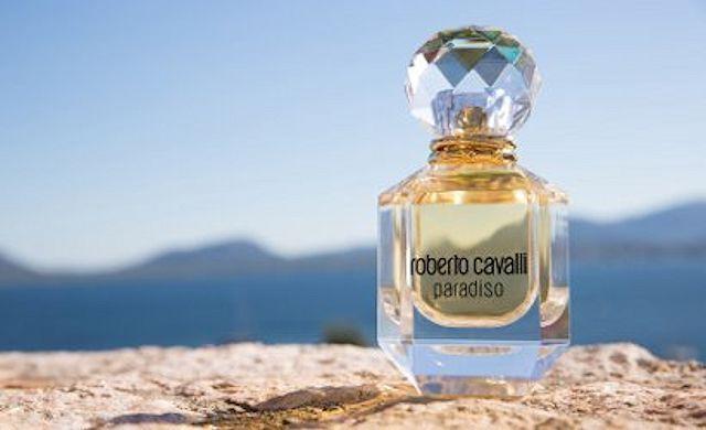 Roberto Cavalli Paradiso